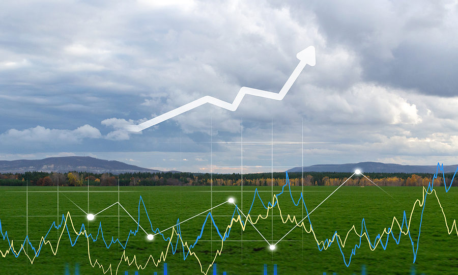 Photo of a farm with farm financial analysis overlayed on top of the image.