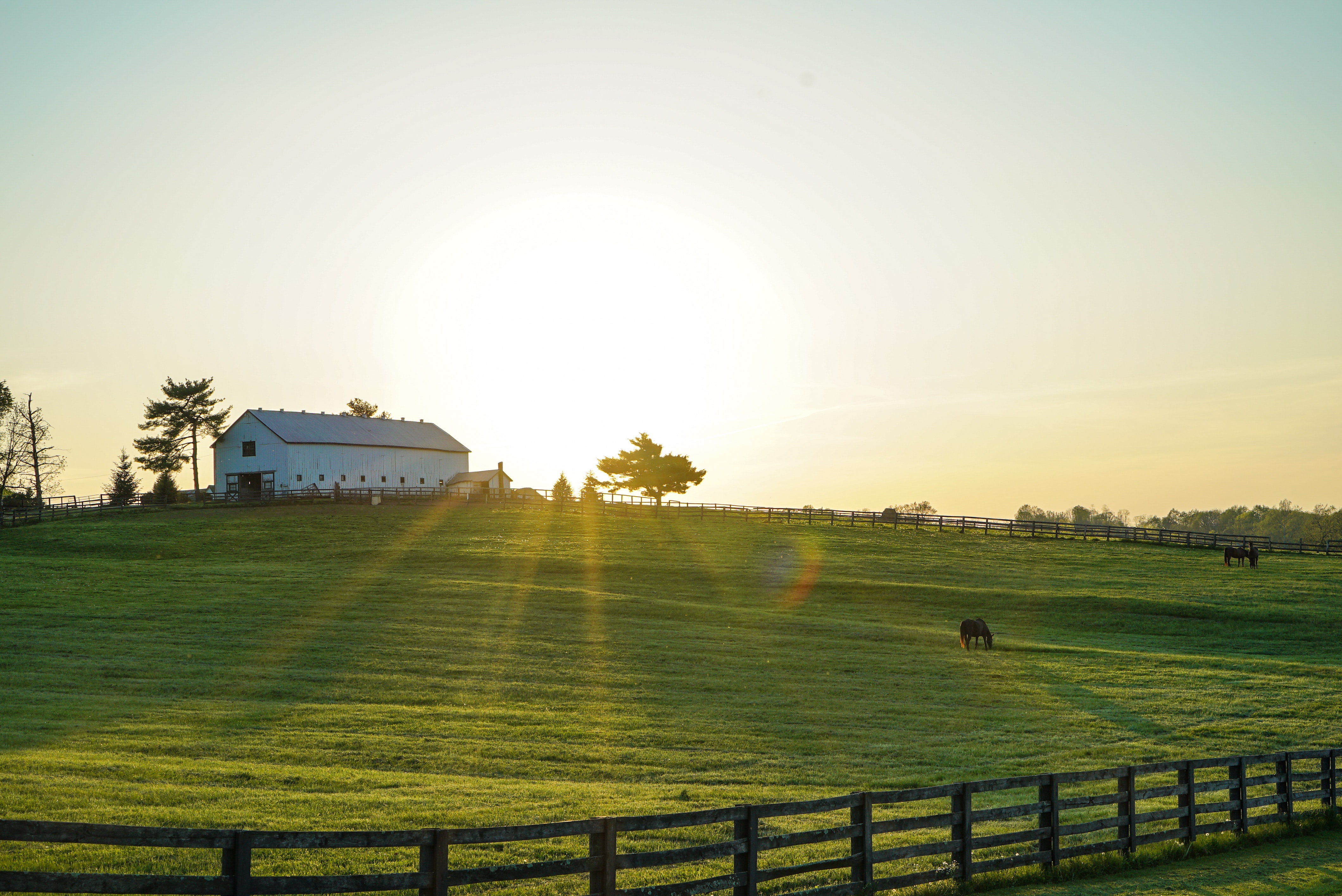A photo of a farm with the sun setting, not concerned with farm tax preparation because its been outsourced to professionals.