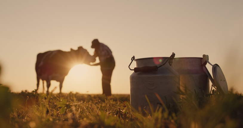 A silhouette of a farmer, confident he understands his dairy benchmarks, stands near a cow with milk cans in the foreground.