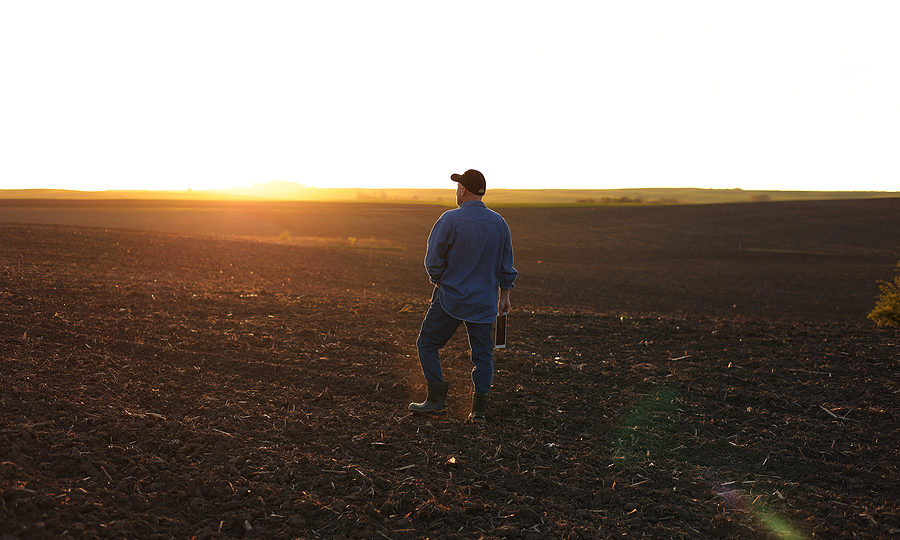 Back view of male farmer walking through on cultivated plowed field at sunset in spring, not concerned with the question do farmers pay taxes.