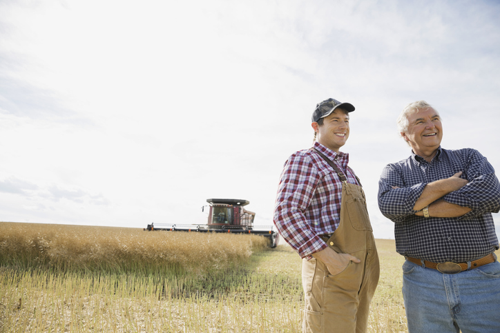 Farmers in sunny wheat field discussing farm estate planning.