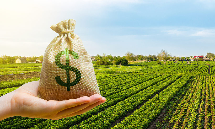 Dollar money bag on farm field representing farm income.