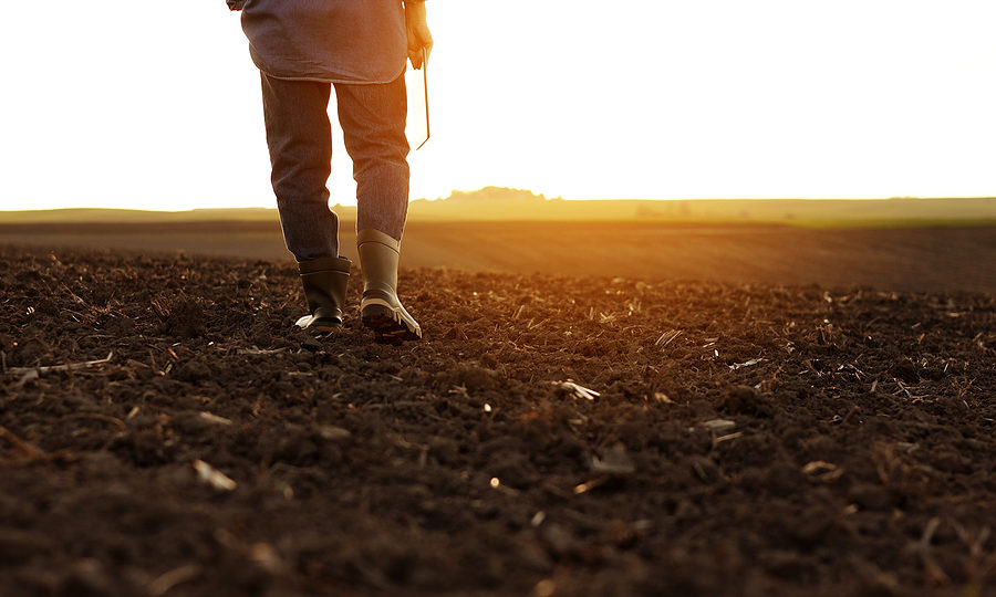 Cropped shot of back view businessman farmer in rubber boots walks along plowed field with digital tablet working on his farm income averaging.