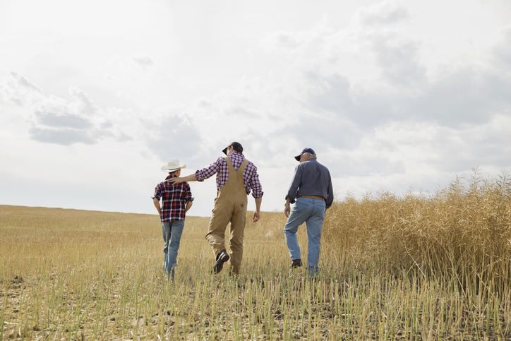 Multi-generation family walking in sunny wheat field discussing farm succession planning.